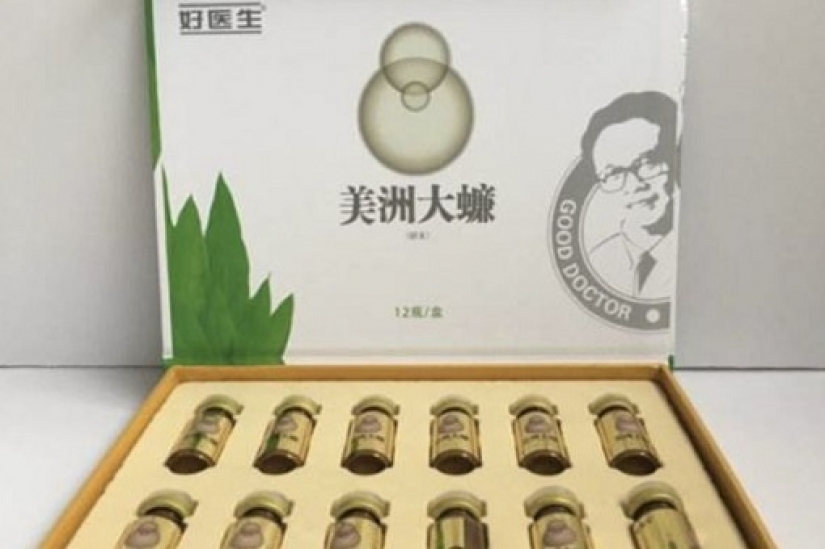Why on a giant farm in China bred six billion cockroaches in a year