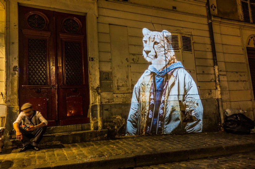 Wild Paris Wild Paris