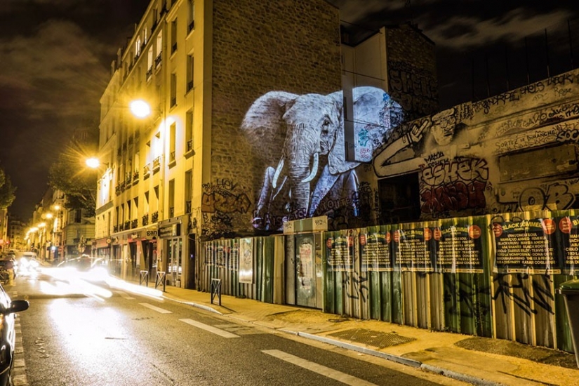 Wild Paris Wild Paris