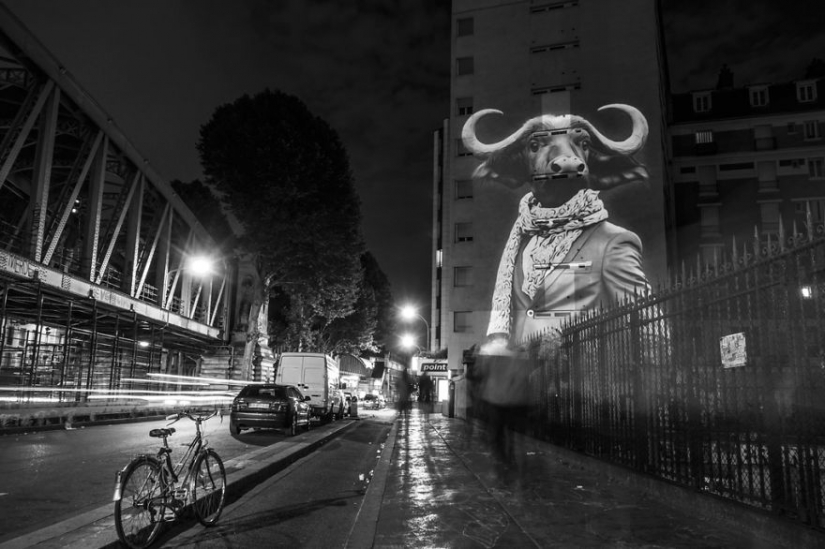 Wild Paris Wild Paris