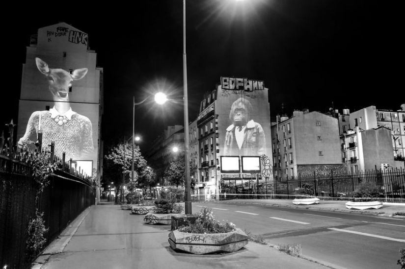Wild Paris Wild Paris