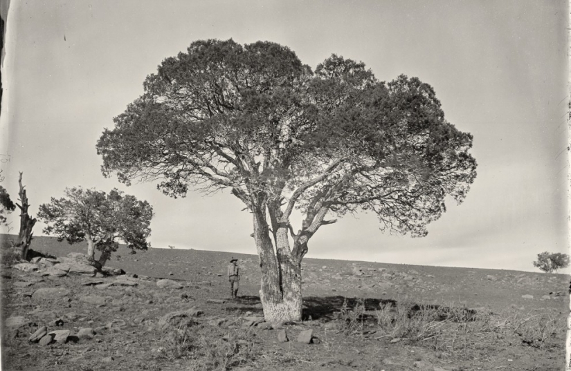 Wild West photos of Timothy O Sullivan Wild West photos of Timothy O Sullivan
