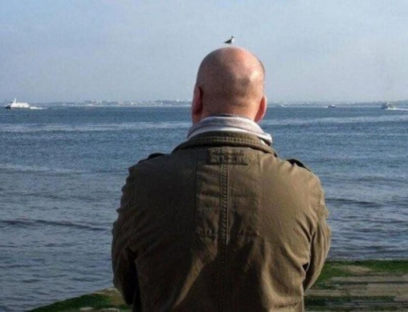 Worth a look: 17 funny pictures from the "Show"