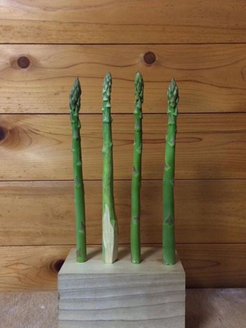 You'll never guess what made these products You'll never guess what made these products