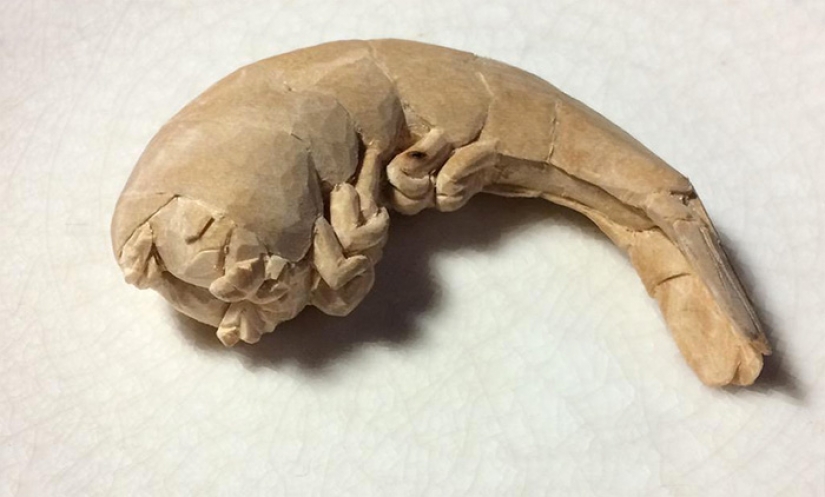 You'll never guess what made these products You'll never guess what made these products