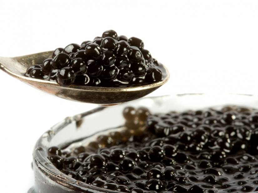 10 alimentos que están prohibidos en todo el mundo