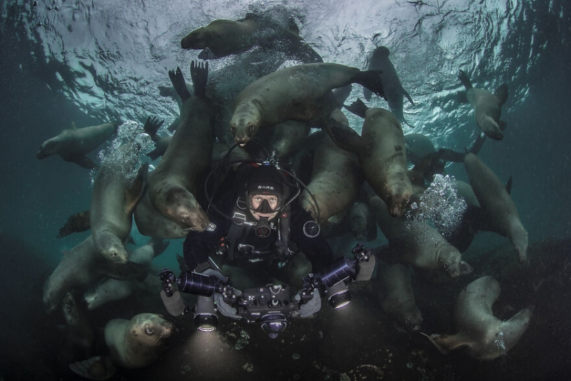 10 amazing underwater images from the finalists of the Ocean Photography Awards 2021 10 amazing underwater images from the finalists of the Ocean Photography Awards 2021