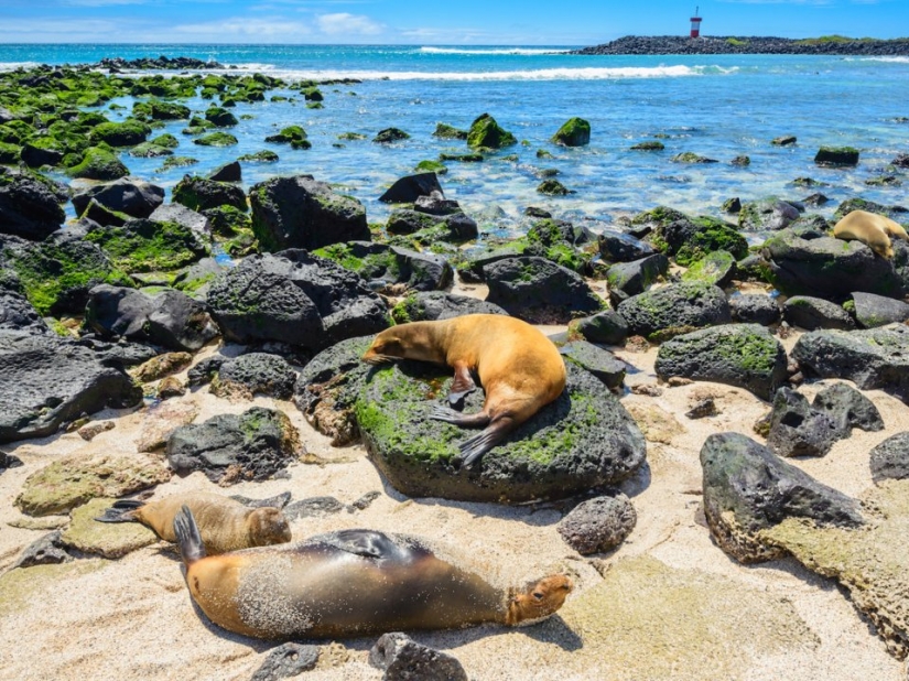10 asombrosas maravillas naturales que todo el mundo debería ver en su vida 10 asombrosas maravillas naturales que todo el mundo debería ver en su vida