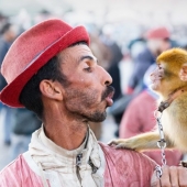 10 atracciones turísticas populares crueles con los animales