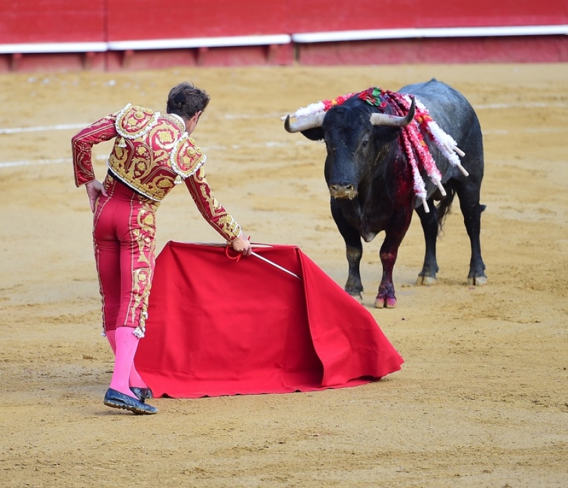 10 atracciones turísticas populares crueles con los animales