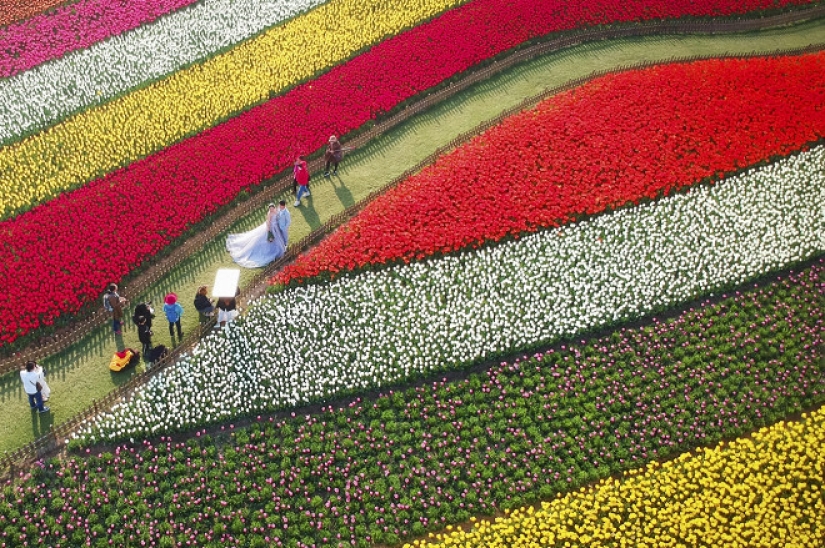 10 best photos from the winners of the Drone Photo Awards 2021