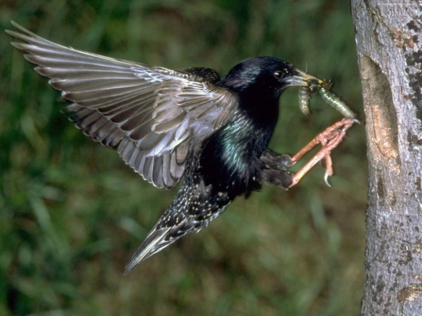 10 cosas cotidianas que traer global de desastre ambiental