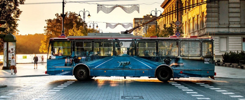 10 crazy optical 3D illusions that will amaze you 10 crazy optical 3D illusions that will amaze you