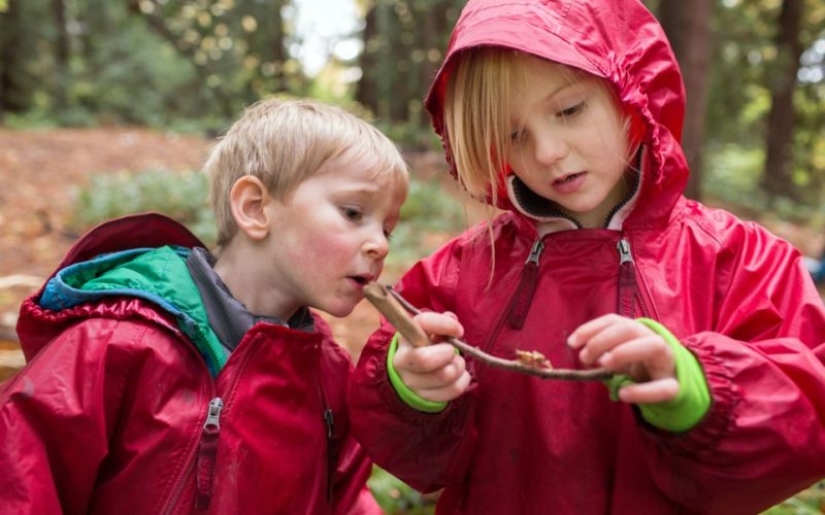 10 de lo más inusual de la escuela de los sujetos en diferentes países del mundo 10 de lo más inusual de la escuela de los sujetos en diferentes países del mundo