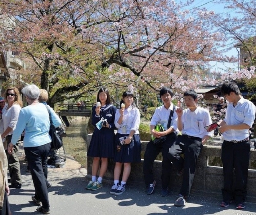 10 de lo más inusual de la escuela de los sujetos en diferentes países del mundo 10 de lo más inusual de la escuela de los sujetos en diferentes países del mundo