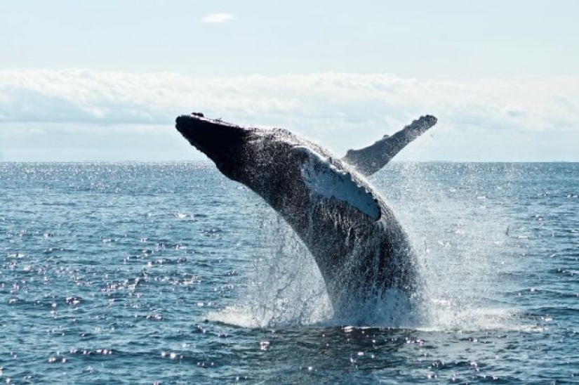 10 disturbing facts you probably shouldn't have shared