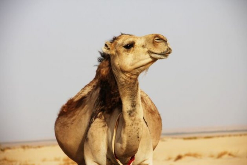 10 disturbing facts you probably shouldn't have shared