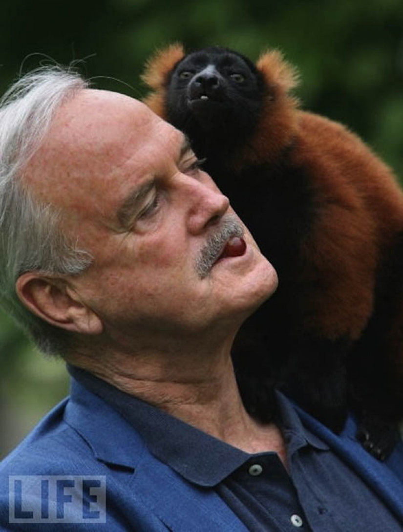 10 especies de animales con nombres de celebridades 10 especies de animales con nombres de celebridades