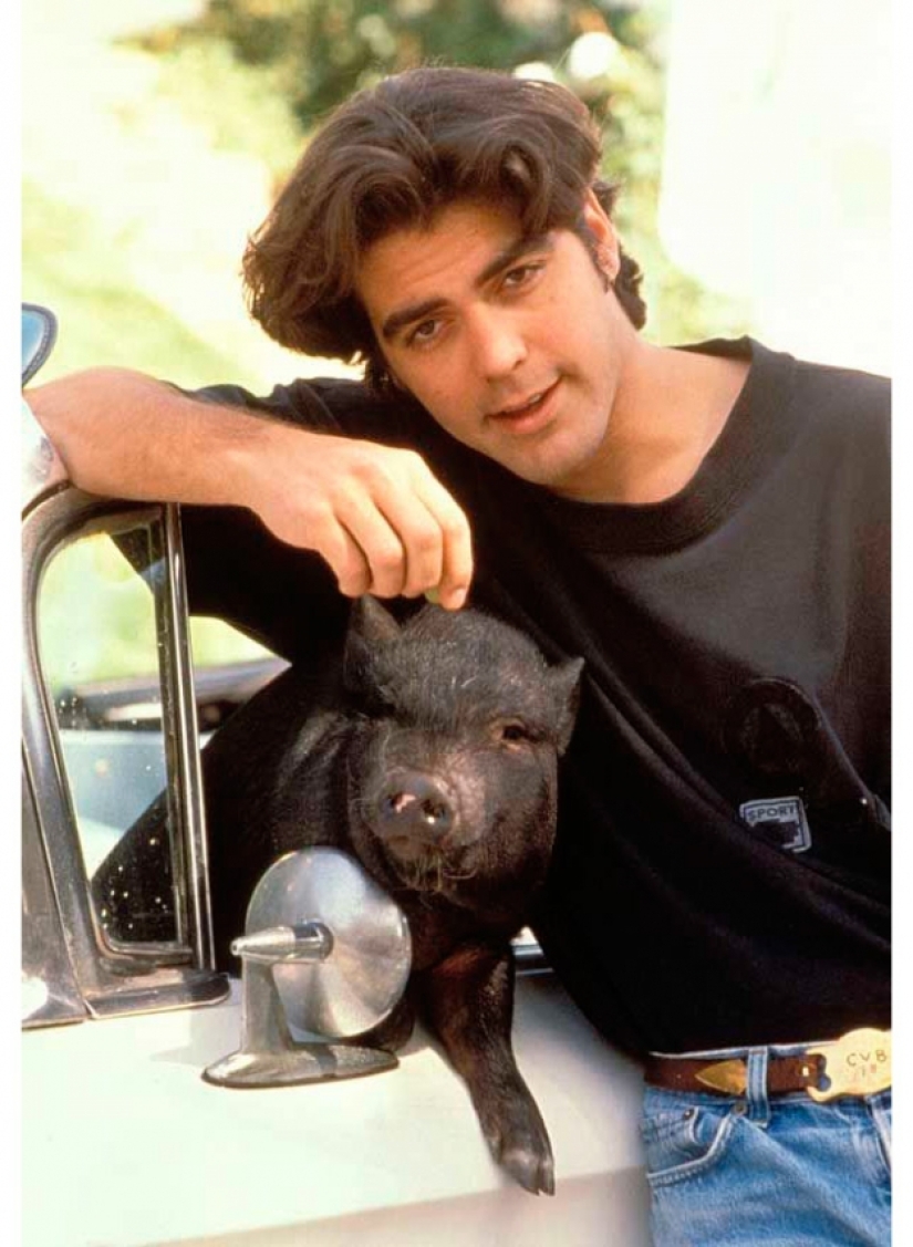 10 extraños animales famosos