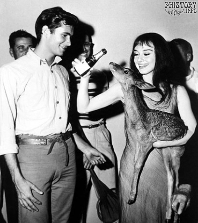 10 extraños animales famosos