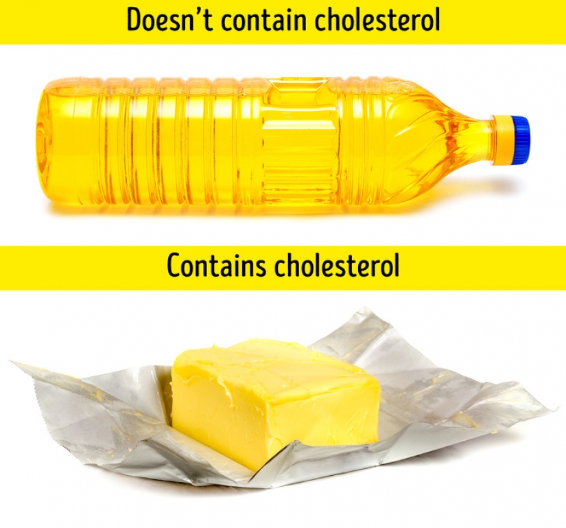 10 facts about the most unexpected aspects of the world