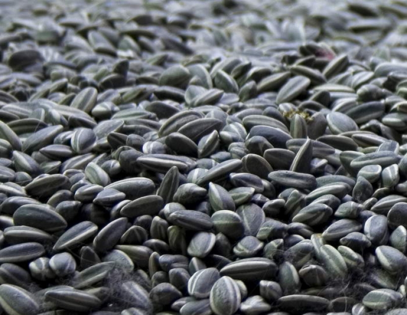 10 foods to cheer you up