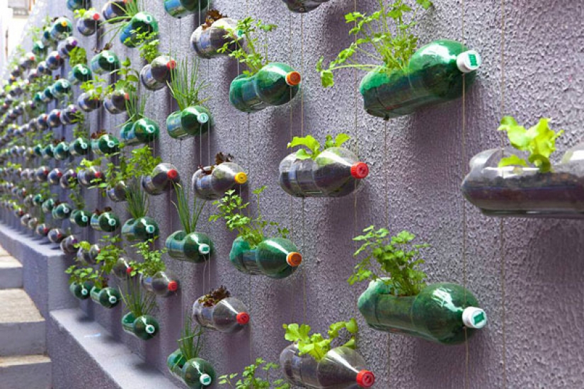 10 formas de usar botellas y platos de plástico viejos 10 formas de usar botellas y platos de plástico viejos