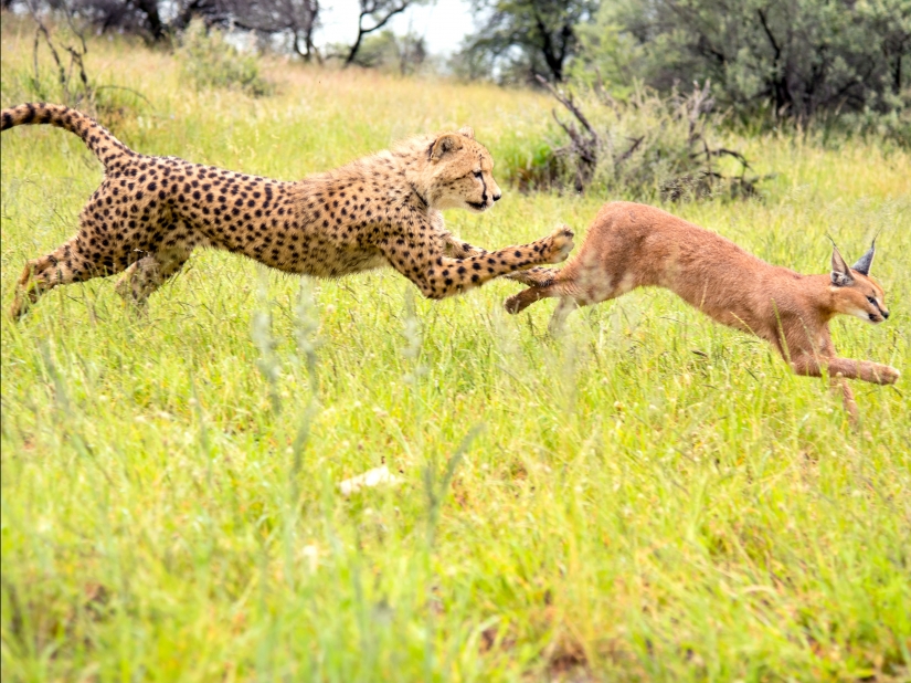 10 fotos que te harán querer visitar Namibia