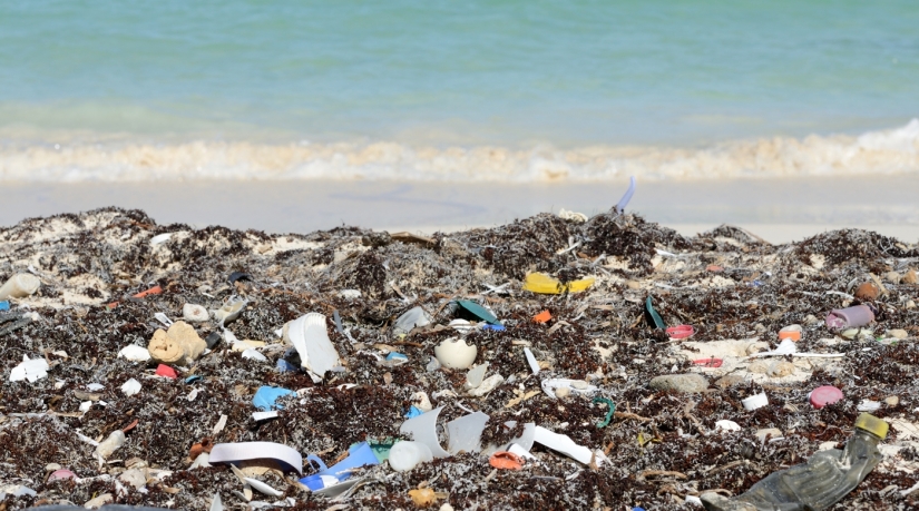 10 funny training courses, the existence of which is hard to believe 10 funny training courses, the existence of which is hard to believe