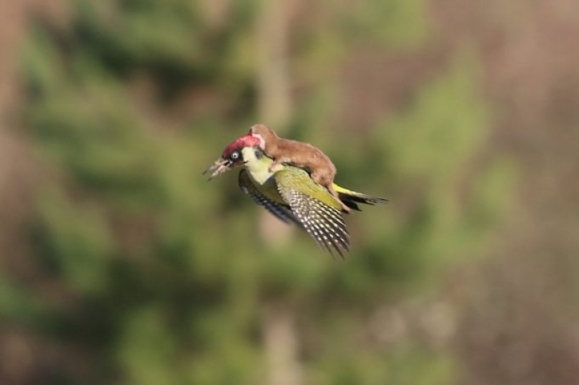 10 happy people who saw something truly amazing