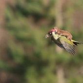 10 happy people who saw something truly amazing