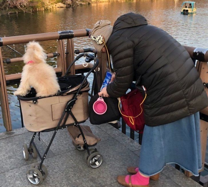 10 impresionantes fotos de Japón que los lugareños ni siquiera notarán