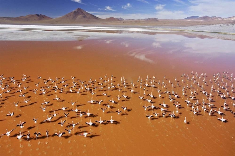 10 impresionantes vistas del desierto desde el aire 10 impresionantes vistas del desierto desde el aire
