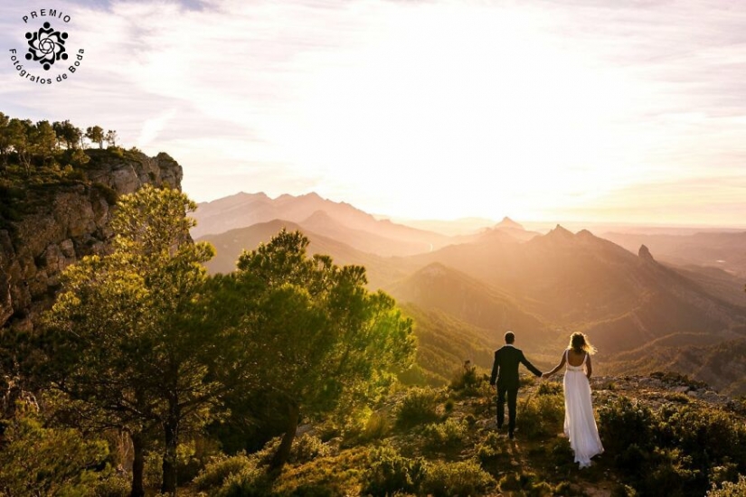 10 momentos de boda conmovedores seleccionados por los premios FdB