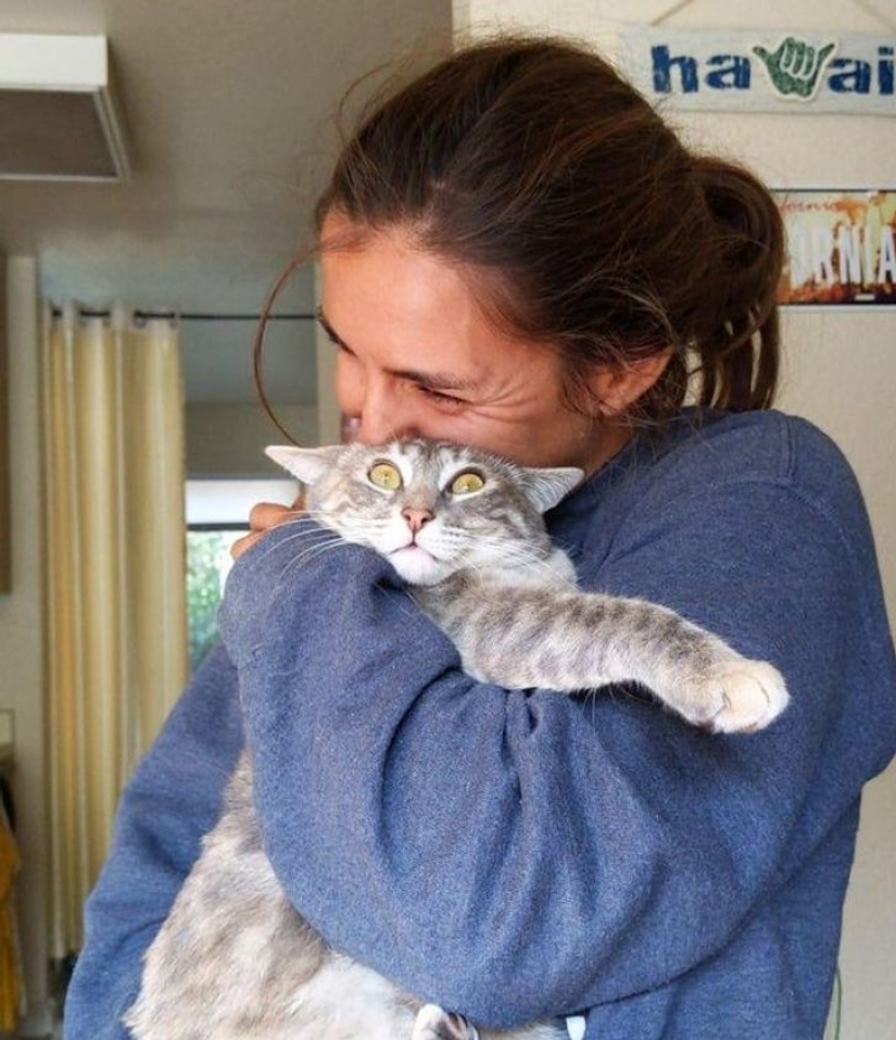 10 photos proving that living with cats is an adventure full of love and fun