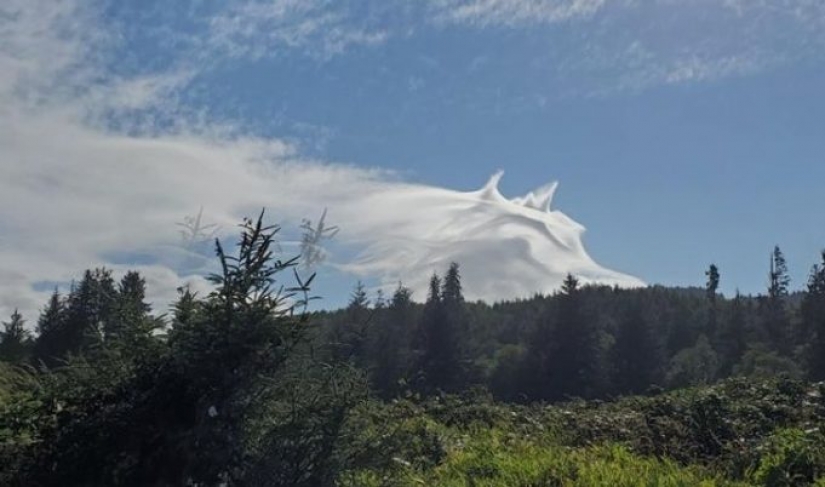 10 photos showing what is more amazing in nature than we can imagine