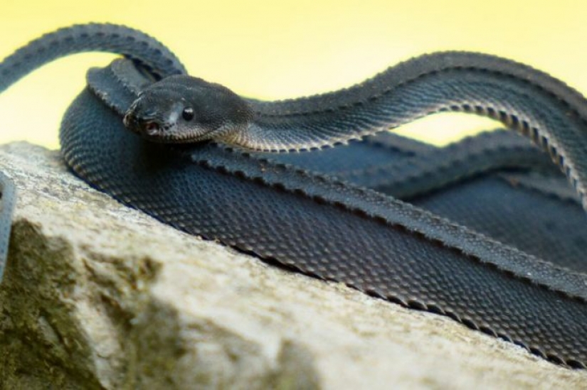 10 photos showing what is more amazing in nature than we can imagine