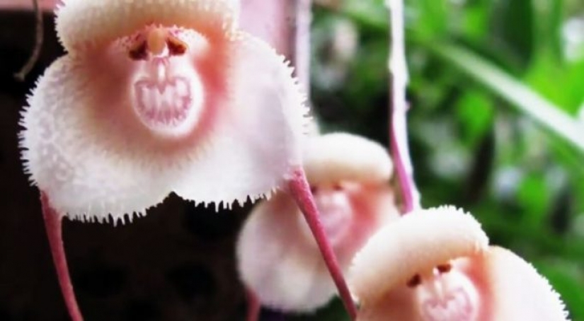 10 photos showing what is more amazing in nature than we can imagine