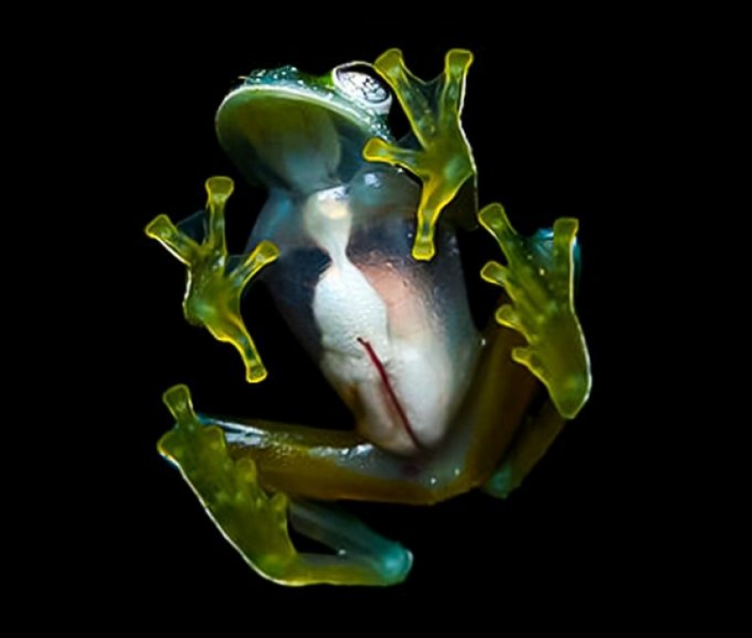 10 photos showing what is more amazing in nature than we can imagine