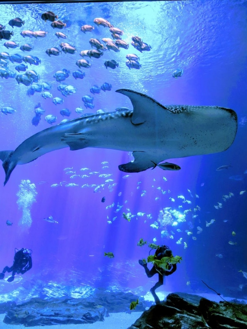 10 powerful comparisons that can turn your world around