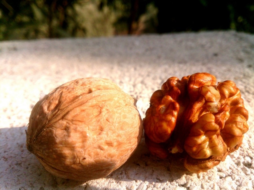 10 razones por las que deberías comer nueces