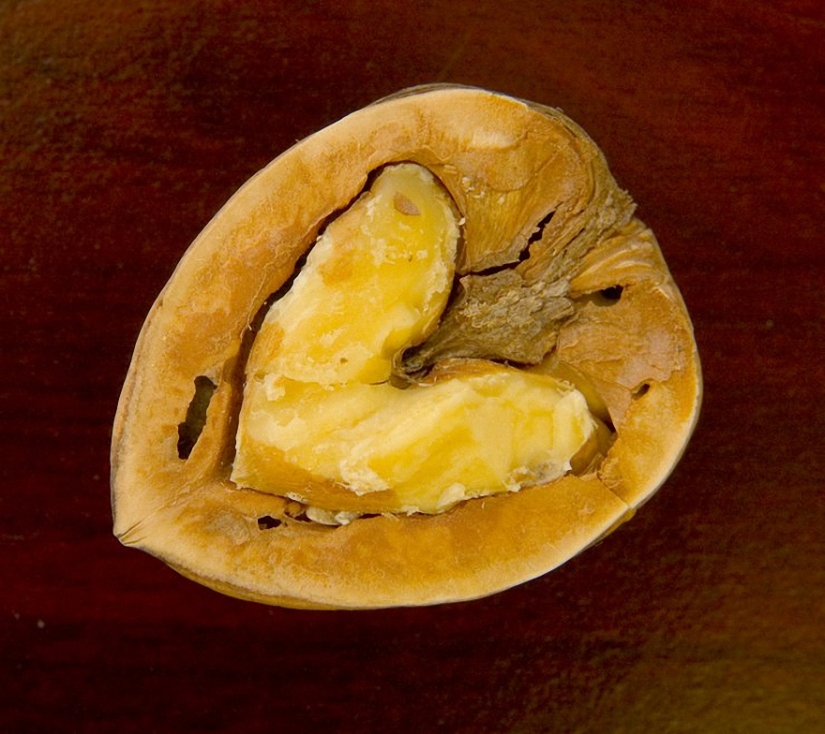 10 razones por las que deberías comer nueces