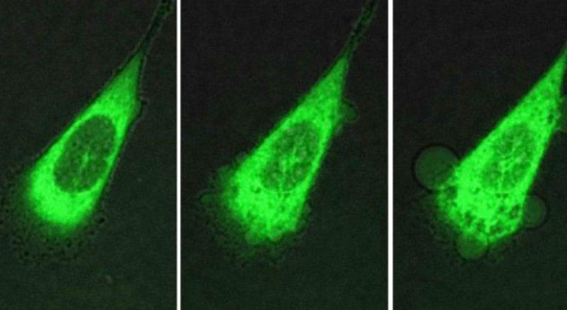 10 scientific discoveries that sound like fiction 10 scientific discoveries that sound like fiction