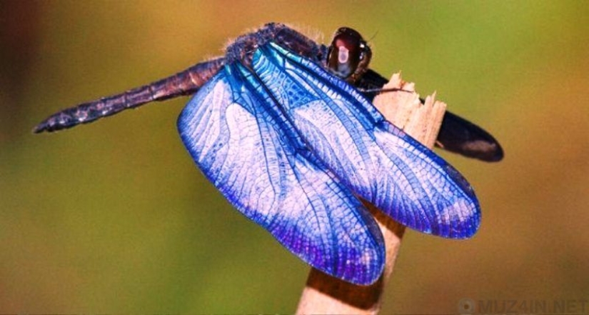 10 scientific discoveries that sound like fiction 10 scientific discoveries that sound like fiction
