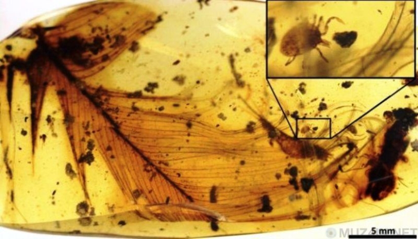 10 scientific discoveries that sound like fiction 10 scientific discoveries that sound like fiction