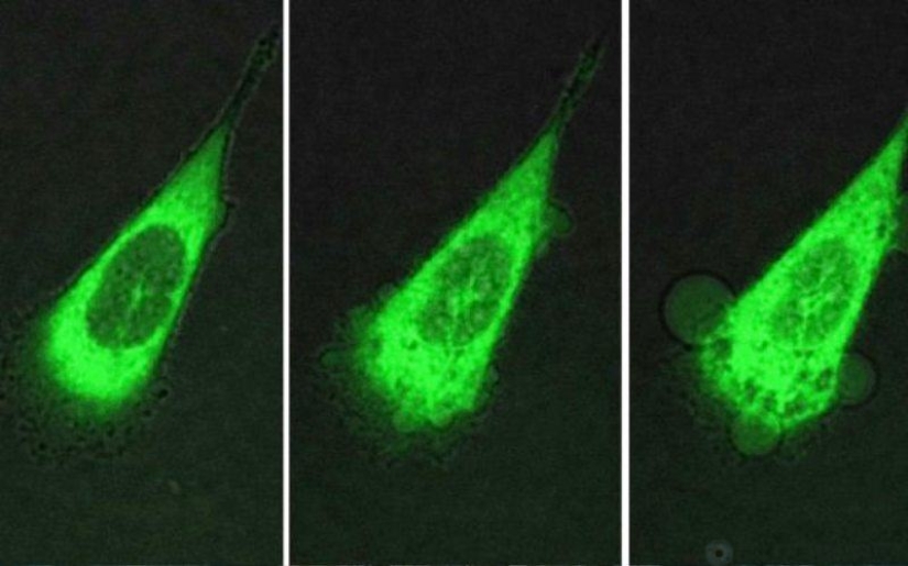10 scientific discoveries that sound like fiction 10 scientific discoveries that sound like fiction