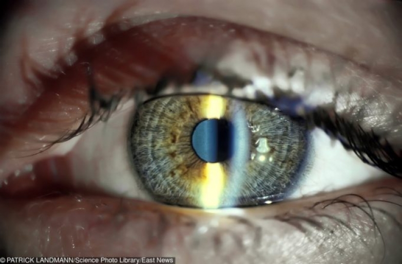 10 Surprising Body Facts That Can Help You Focus On Your Health