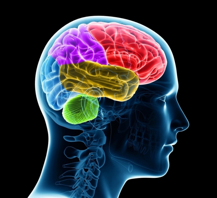 10 Surprising Body Facts That Can Help You Focus On Your Health
