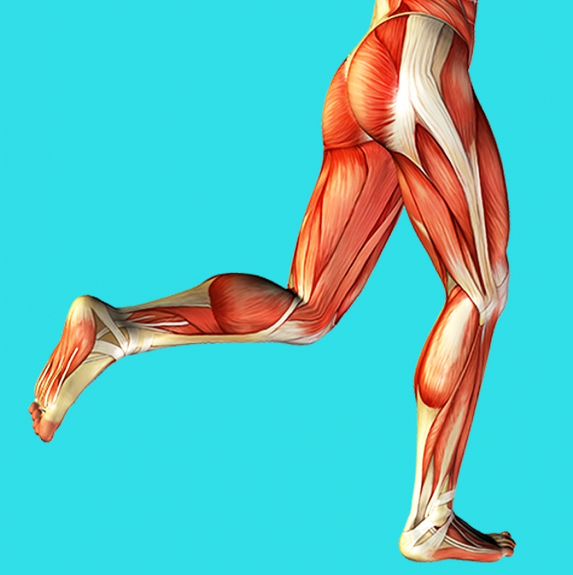 10 Surprising Body Facts That Can Help You Focus On Your Health