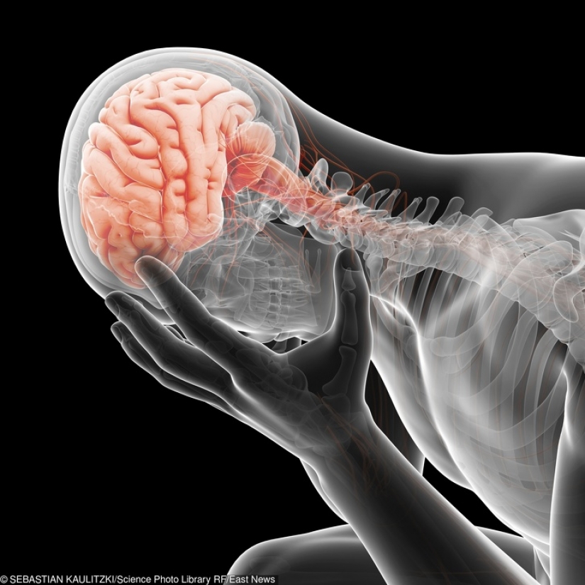 10 Surprising Body Facts That Can Help You Focus On Your Health